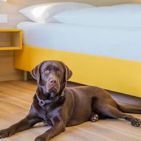 Hi5-hotel Seiersberg *