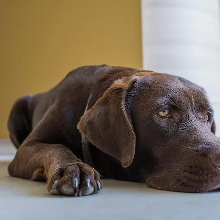 Hi5-hotel Seiersberg Windorf