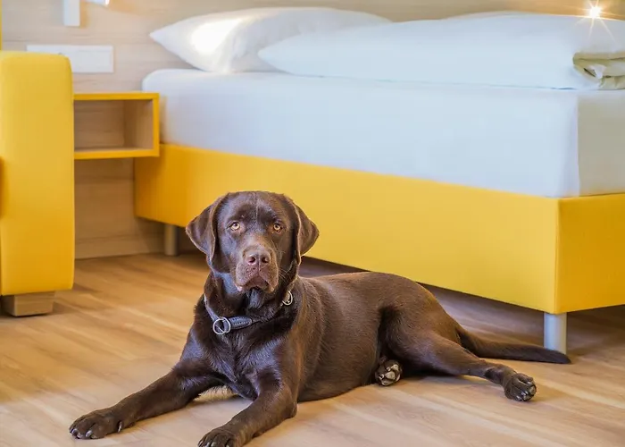 Hi5-hotel Seiersberg *