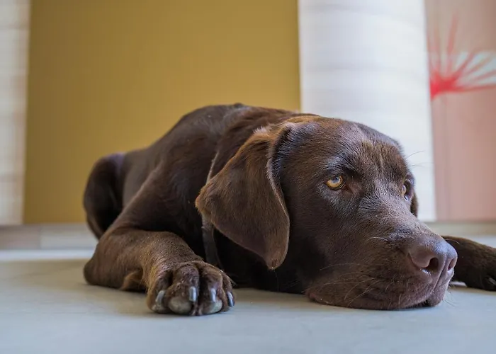 Hi5-hotel Seiersberg Windorf